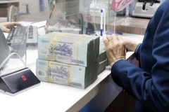 Ảnh minh họa. (Nguồn: Trần Việt/TTXVN)