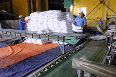sản xuất mía đường tại công ty mía đường Biên Hòa, tại Ninh Hòa. Ảnh Đặng Tuấn - TTXVN 