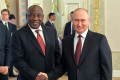Tổng thống Nga Vladimir Putin (phải) và Tổng thống Nam Phi Cyril Ramaphosa trong cuộc gặp tại Strelna, ngoại ô Saint Petersburg (Nga) ngày 17/6/2023. (Ảnh: AFP/TTXVN)