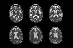 (Nguồn: The New York Times)