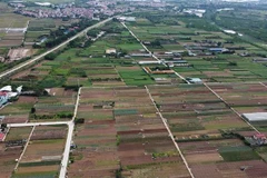 Hà Nội chuyển đổi gần 300ha đất nông nghiệp sang phi nông nghiệp