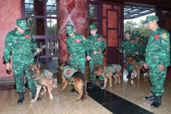 Quân đội Việt Nam tham gia khắc phục hậu quả động đất tại Thổ Nhĩ Kỳ