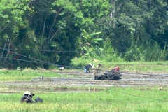 Người dân quay trở lại cuộc sống thường nhật sau sự việc nhóm đối tượng dùng súng, dao tấn công trụ sở UBND xã Ea Tiêu và Ea Ktur, huyện Cư Kuin, tỉnh Đắk Lắk. (Ảnh: Quang Thái/TTXVN)