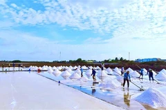 Bạc Liêu: Đẩy mạnh liên kết, xúc tiến thương mại các sản phẩm OCOP