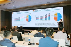 Doanh nghiệp Việt Nam và Na Uy đẩy mạnh hợp tác chuyển đổi năng lượng