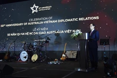 Bộ trưởng Ngoại giao Bùi Thanh Sơn phát biểu. (Ảnh: Lâm Khánh/TTXVN)