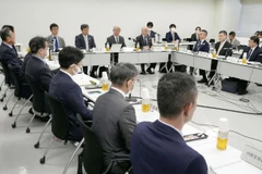 Các thành viên hội đồng chuyên gia của chính phủ Nhật Bản trong cuộc họp về chương trình thực tập sinh ngày 28/4. (Nguồn: Kyodo)