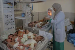 Nhân viên y tế chăm sóc các em bé sinh non được sơ tán từ bệnh viện Al Shifa tới bệnh viện ở Rafah, Dải Gaza, ngày 19/11/2023. (Ảnh: THX/TTXVN)