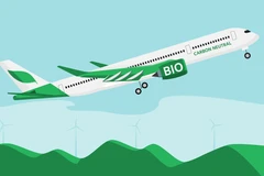 Ảnh minh họa. (Nguồn: IATA)