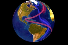 Hình ảnh minh họa hệ thống hải lưu AMOC. (Ảnh: NOAA)