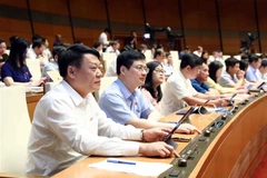 (Ảnh: Phạm Kiên/TTXVN)