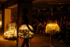 Nhà thiết kế Nhật Bản bị chỉ trích vì dùng bướm sống trong trang phục