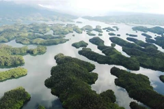 Chuyển Ban quản lý Vườn Quốc gia Tà Đùng trực thuộc UBND tỉnh Đắk Nông