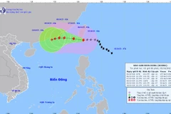 Bão Koinu có gió mạnh cấp 14, giật cấp 17, biển động dữ dội