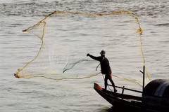 Giới chuyên gia khuyến nghị việc chia sẻ dữ liệu về sông Mekong