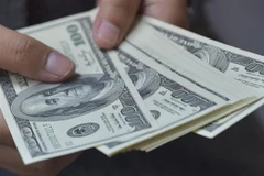 Đồng tiền mệnh giá 100 USD. (Ảnh: AFP/TTXVN)