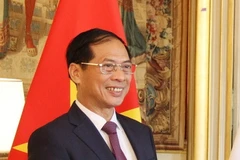 Bộ trưởng Bộ Ngoại giao Bùi Thanh Sơn. (Ảnh: Thu Hà/TTXVN)