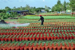 Sóc Trăng huy động trên 8.300 tỷ đồng xây dựng Nông thôn Mới