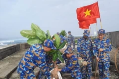 Các chiến sỹ trồng cây bàng vuông trên đảo An Bang. (Ảnh: Nguyễn Cúc/TTXVN)
