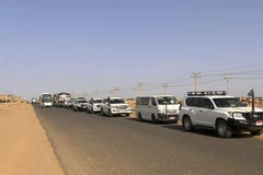Đoàn xe chở công dân sơ tán rời thủ đô Khartoum tới Cảng Sudan ngày 23/4/2023. (Ảnh: AFP/TTXVN)
