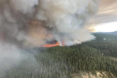 Khói bốc lên từ đám cháy rừng ở British Columbia, Canada ngày 10/7/2023. (Ảnh: AFP/TTXVN)
