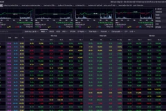 Ảnh minh họa. (Nguồn: SSI)