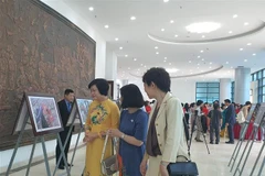 Viết thư pháp tại Ngày hội. (Ảnh: Nguyễn Cúc/TTXVN)