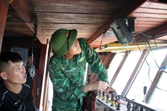 Nghệ An quyết liệt phòng, chống khai thác hải sản bất hợp pháp