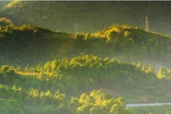 (Nguồn: The Meghalaya)