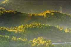 (Nguồn: The Meghalaya)