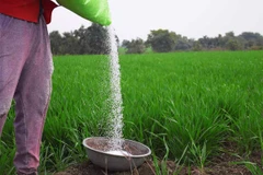 (Nguồn: The Economic Times)