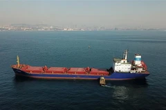 Tàu chở ngũ cốc di chuyển dọc Eo biển Bosphorus ở Istanbul, Thổ Nhĩ Kỳ. (Ảnh: AFP/TTXVN)