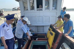 Lực lượng chức năng tỉnh Bà Rịa-Vũng Tàu kiểm tra tàu cá của ngư dân huyện Long Điền về chấp hành IUU trước khi ra khơi xuất bến. (Ảnh: Hoàng Nhị/TTXVN)