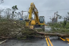 Trung Quốc ban bố mức cảnh báo vàng đối với cơn bão Haikui