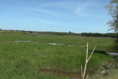 Đắk Nông: Thu hồi đất của 22 dự án để phát triển kinh tế-xã hội