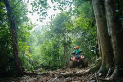 Quảng Bình: Tìm cách gỡ vướng mắc trong liên kết vùng kinh tế-xã hội