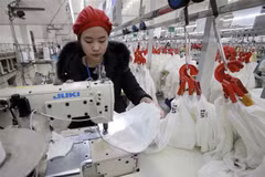 Nhìn lại 3 năm Hiệp định Thương mại Tự do giữa Việt Nam và EU