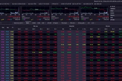 Thị trường chứng khoán đỏ rực chiều 17/5. (Nguồn: SSI)