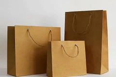 Túi mua hàng bằng giấy của Việt Nam bị yêu cầu điều tra chống bán phá giá. (Nguồn: Báo Công Thương)