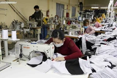 May hàng xuất khẩu tại Công ty cổ phần may xuất khẩu Gia Tộc, huyện Lý Nhân, tỉnh Hà Nam. (Ảnh: Trần Việt/TTXVN)