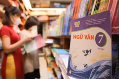 (Ảnh minh họa: Thanh Tùng/TTXVN)