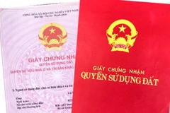 Ảnh minh họa. (Nguồn: Báo Lao động)