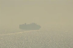 Ukraine đàm phán thiết lập "hành lang xanh" xuất khẩu ngũ cốc