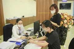 Cán bộ tại Trung tâm hành chính công tỉnh Ninh Bình hướng dẫn người dân sử dụng các dịch vụ công trực tuyến. (Ảnh minh họa: Hải Yến/TTXVN)