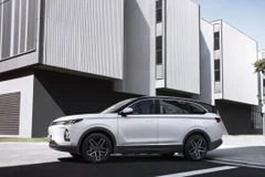 Trung Quốc: Công ty xe điện WM Motor nổi tiếng một thời đệ đơn phá sản