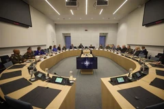 Đức và Anh tham gia Sáng kiến Huấn luyện bay châu Âu của NATO 