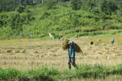 Thung lũng Măng Ri - "Nàng công chúa ngủ quên“ giữa núi rừng Kon Tum