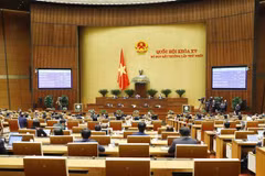 (Ảnh: Phương Hoa/TTXVN)