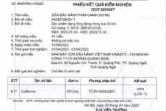 (Ảnh: Anh Tuấn/TTXVN)