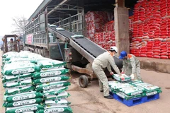 Công nhân Công ty Cổ phần Supe Phốt phát và Hóa chất Lâm Thao vận chuyển sản phẩm phân bón mới lên xe của khách hàng. (Ảnh: Trung Kiên/TTXVN)